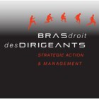 BRAS DROIT DES DIRIGEANTS - Régis VAN KEMENADE